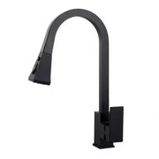 Kitchen Faucet with Extractable Shower, Sanitary Brass, Black, OD/2040 Kitchen Faucets Default Title Alessandro Design