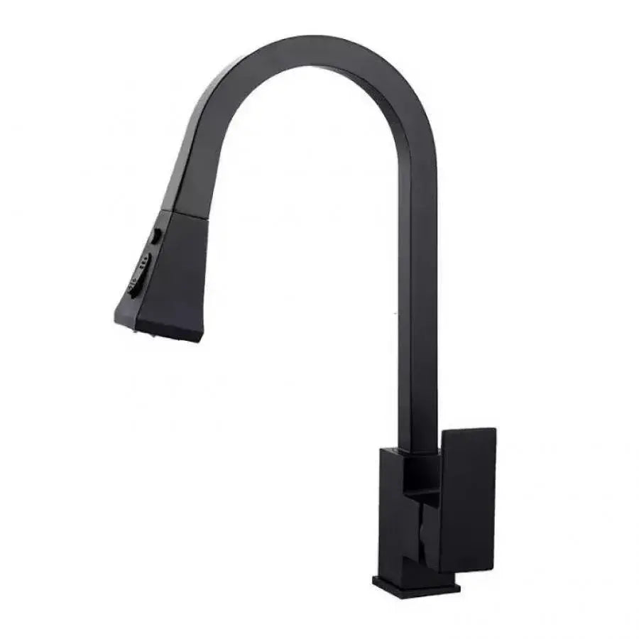 Kitchen Faucet with Extractable Shower, Sanitary Brass, Black, OD/2040 Kitchen Faucets Default Title Alessandro Design