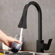 Kitchen Faucet with Extractable Shower, Sanitary Brass, Black, OD/2040 Kitchen Faucets Default Title Alessandro Design