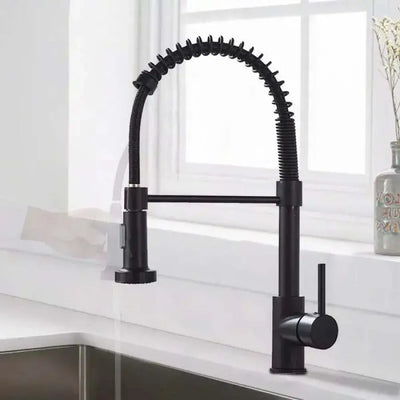 Kitchen Faucet with Extractable Shower, Stainless Steel and Black Brass, YD101BK