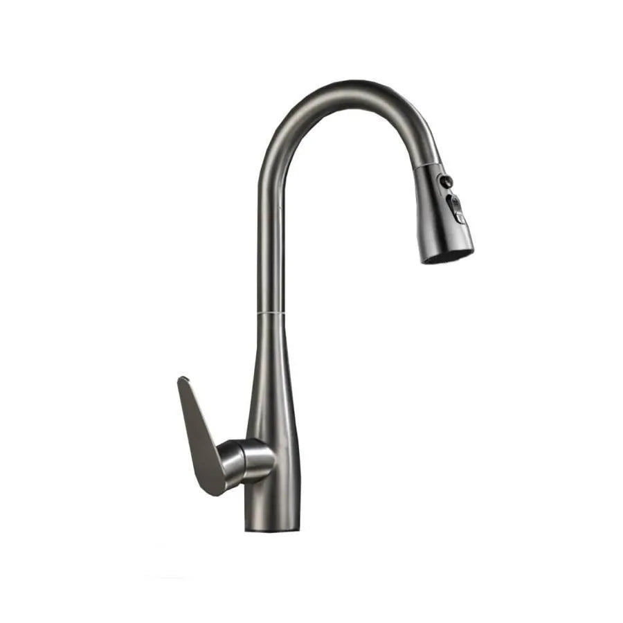 Kitchen Faucet with Extractable Shower Stainless Steel ZY1010 Kitchen Faucets Default Title Alessandro Design