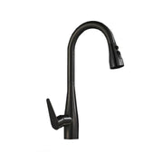 Kitchen Faucet with Extractable Black Stainless Steel Shower ZY1012 Kitchen Faucets Default Title Alessandro Design
