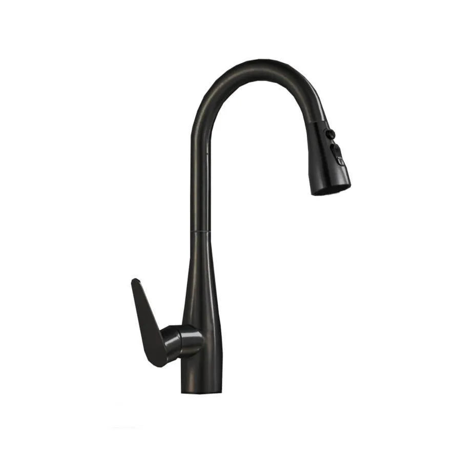 Kitchen Faucet with Extractable Black Stainless Steel Shower ZY1012 Kitchen Faucets Default Title Alessandro Design