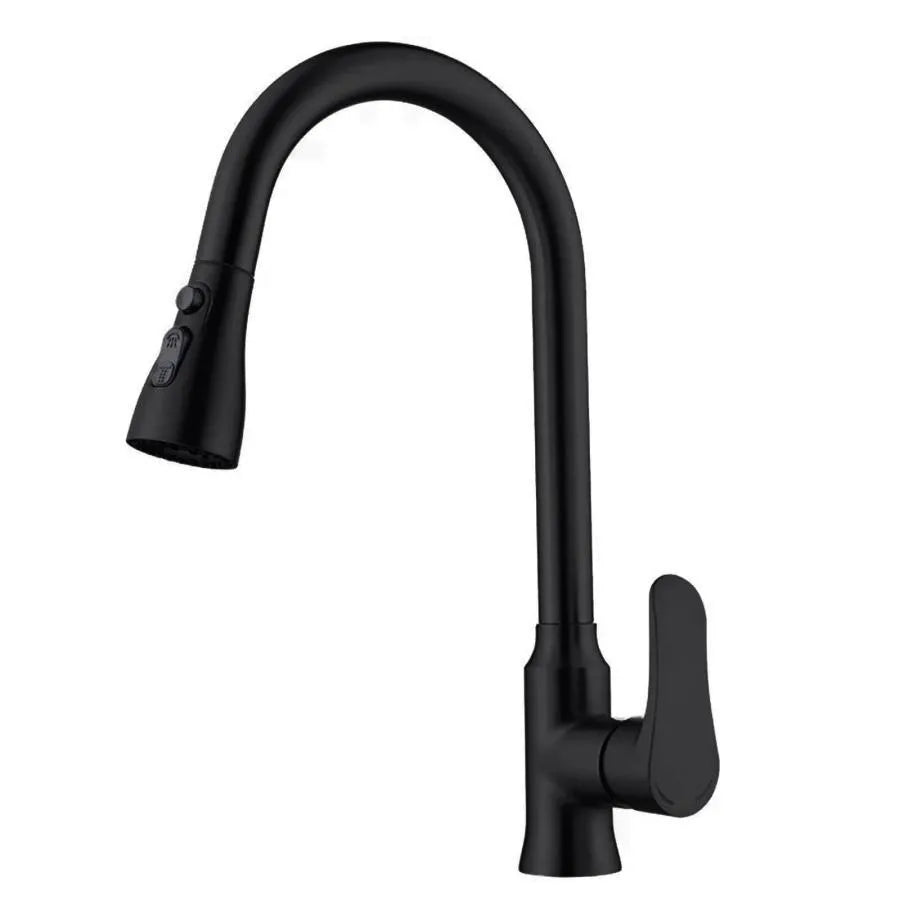 Kitchen Faucet with Extractable Black Stainless Steel Shower ZY1013 Kitchen Faucets Default Title Alessandro Design