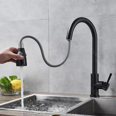 Kitchen Faucet with Extractable Shower, SUS304 Stainless Steel, Black, CF018BK