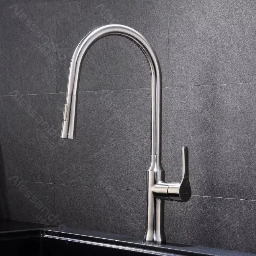 Kitchen Faucet with Extractable Shower, SUS304 Stainless Steel, Satin, CF023 Kitchen Faucets Default Title Alessandro Design