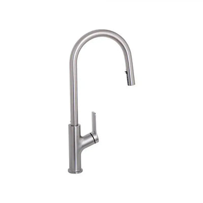 Kitchen Faucet with Extractable Shower, SUS304 Stainless Steel, Satin, FJ5542