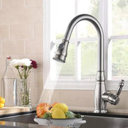 Kitchen Faucet with Extractable Shower, SUS304 Stainless Steel, Satin, YSQ/105 Kitchen Faucets Default Title Alessandro Design
