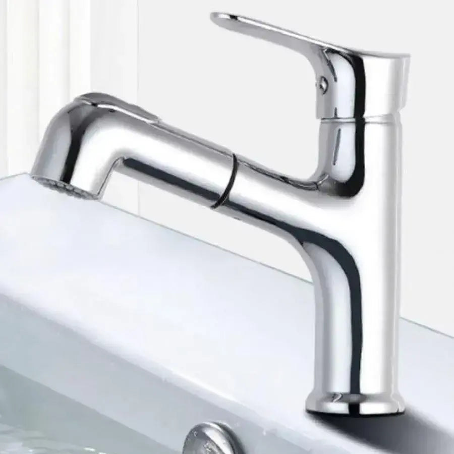 Faucet with Pull-out Shower, Sanitary Brass, Chrome, WZY108/B Bathroom Faucets Default Title Alessandro Design
