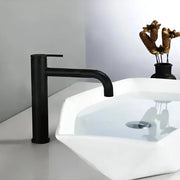 Basin Faucet, Sanitary Brass, Black, 7237H Bathroom Faucets Default Title Alessandro Design