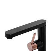 Basin Faucet, Sanitary Brass, Black, 9107H/M Bathroom Faucets Default Title Alessandro Design