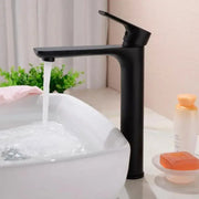 Basin Faucet, Sanitary Brass, Black, CF2028 Bathroom Faucets Default Title Alessandro Design