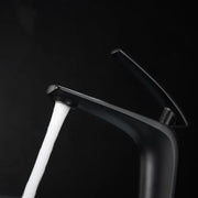 Basin Faucet, Sanitary Brass, Black, MP015H Bathroom Faucets Default Title Alessandro Design