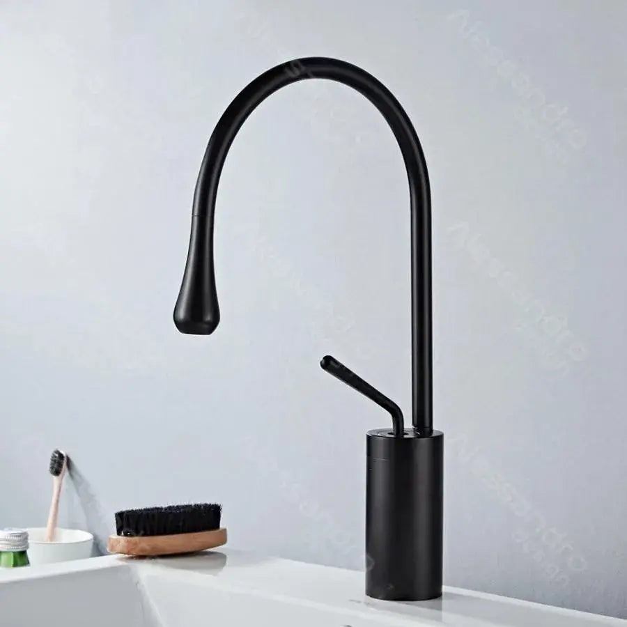 Basin Faucet, Sanitary Brass, Black, WZY/327/B Bathroom Faucets Default Title Alessandro Design