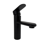 Black Stainless Steel Sink Faucet ZY1001 Bathroom Faucets Default Title Alessandro Design