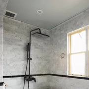 Shower column with showerhead and adjustment cap, sanitary brass, black, 9920H Faucets & shower columns Default Title Alessandro Design