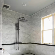 Shower Column, Sanitary Brass, Black, HC8816H Faucets & Shower Columns Default Title Alessandro Design