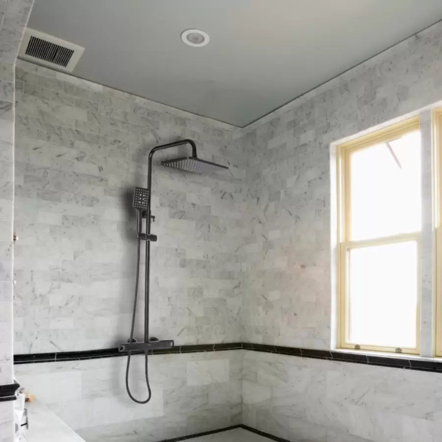 Shower Column, Sanitary Brass, Black, HC8816H Faucets & Shower Columns Default Title Alessandro Design