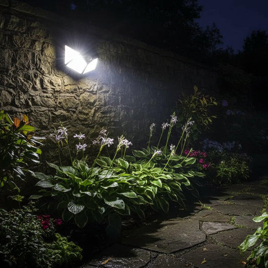 Solar Lamp with Motion Sensor, 100 LEDs, IP.65, Black Outdoor wall lights Default Title Alessandro Design