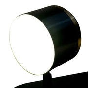 LED Chandelier MEISSUN 44W, Linear, Cold/Warm/Neutral light, Black LED Chandelier Default Title Alessandro Design
