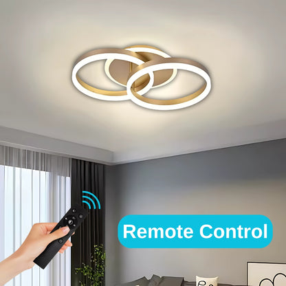 LED chandelier with remote control RINOVA 41W, 2 Circles, Cold/Warm/Neutral light, Dimmable, Gold LED chandelier with remote control Default Title Alessandro Design
