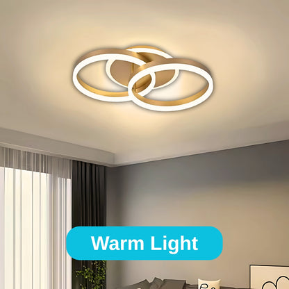 LED chandelier with remote control RINOVA 41W, 2 Circles, Cold/Warm/Neutral light, Dimmable, Gold LED chandelier with remote control Default Title Alessandro Design