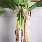 Japanese Banana Artificial Plant, 3 Branches, without Pot 190cm Green Artificial Indoor Plants Default Title Alessandro Design