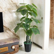 Artificial Plant Alocasia odora, without Pot, 150cm Green Artificial Indoor Plants Default Title Alessandro Design