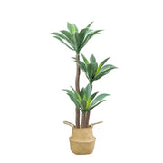 Artificial Plant Dracaena fragrans, without Pot, 180cm Green Artificial Indoor Plants Default Title Alessandro Design