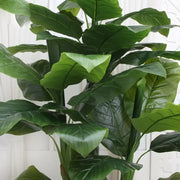 Japanese Banana Artificial Plant, 4 Branches, without Pot 180cm Green Default Title Alessandro Design